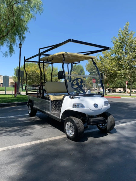 Golf cart equipped with EVO-TURF-44X120-TLRI Top Mount Ladder Rack for mounting inside the bed of an Evolution Turfman 1000, featuring custom fabrication for golf carts.